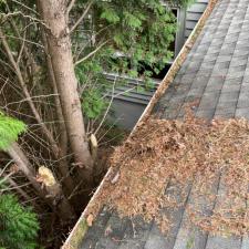 Gutter Cleaning Banner Elk NC 0