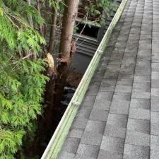 Gutter cleaning 2