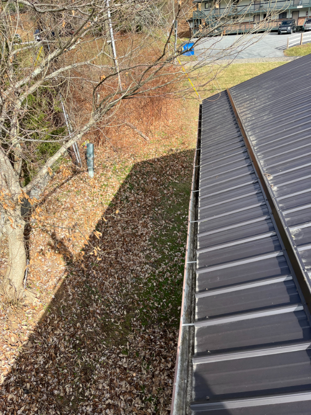 Gutter cleaning Roan Mountain, NC