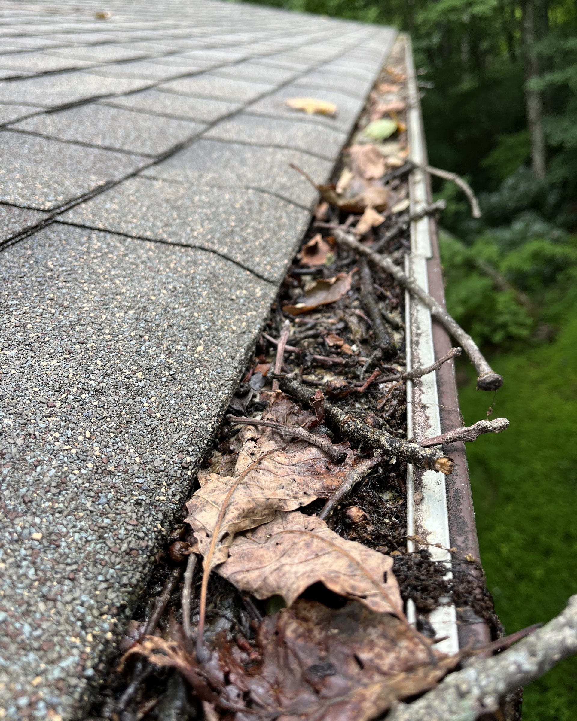 Boone, NC Gutter Cleaning