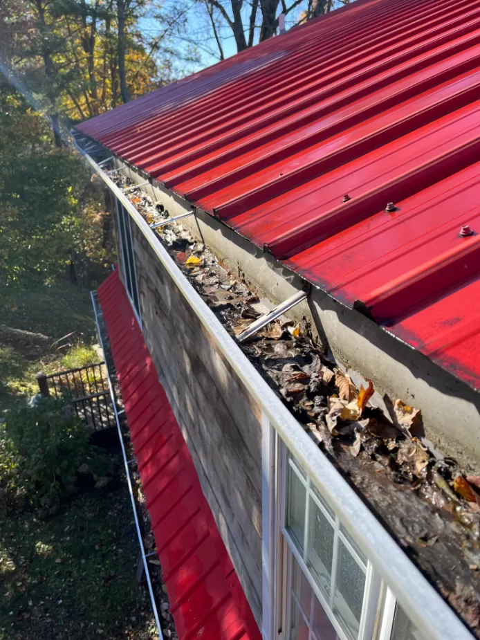 Gutter Cleaning in Bakersville, NC