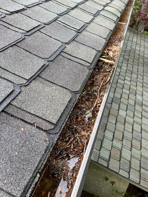 Gutter cleaning linville