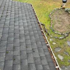 Gutter cleaning 4