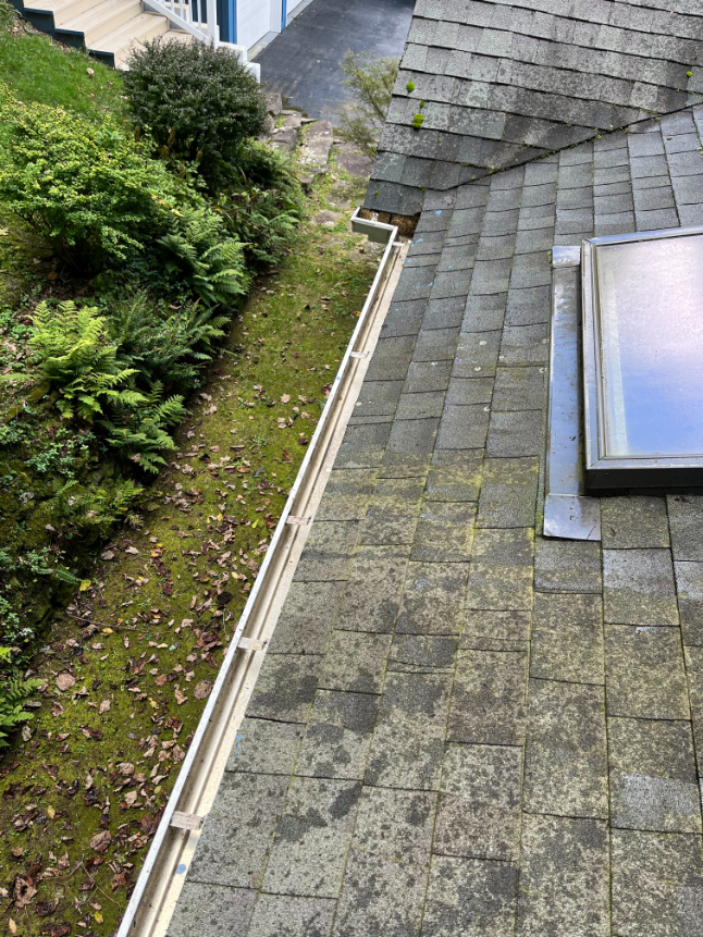 Gutter cleaning Beech Mountain, NC