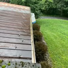 Gutter cleaning 1