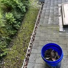 Gutter cleaning 4