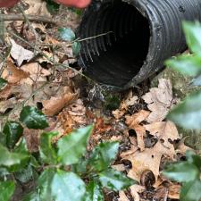 Gutter cleaning blowing rock 2
