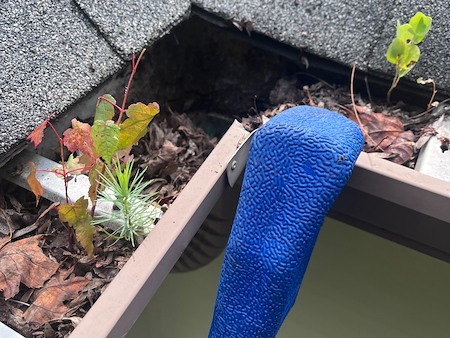 What happens when clogged gutters are left untreated too long