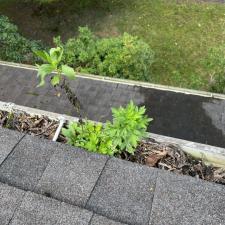 Gutter-Cleaning-in-Boone-NC-1 0
