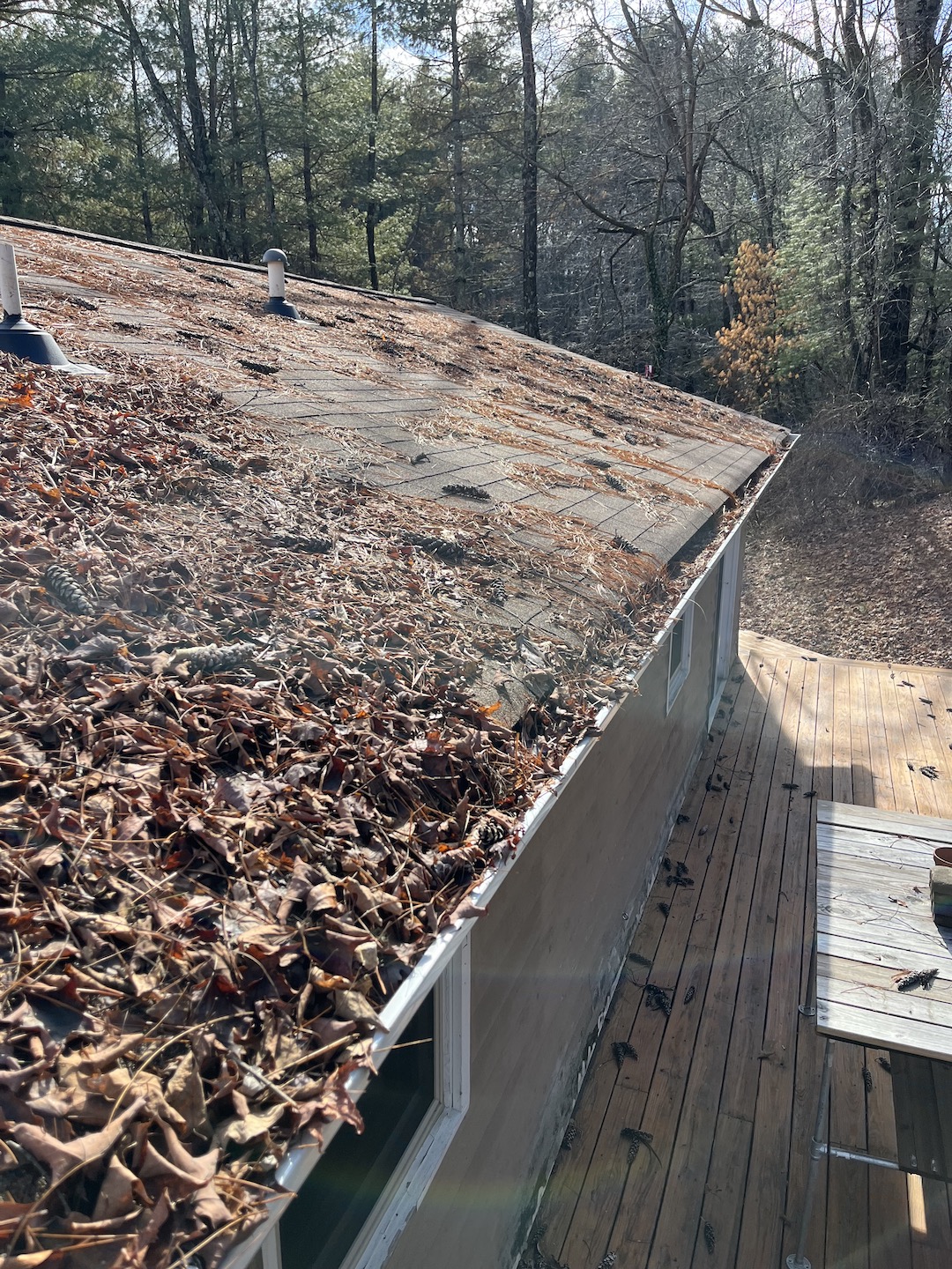 Top-Notch Gutter Cleaning in Boone, NC